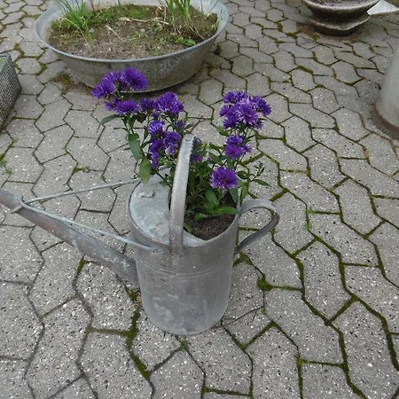 Frühstückspension Bel Zoe *